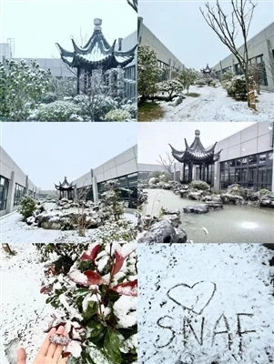The First Snow in Suzhou This Winter